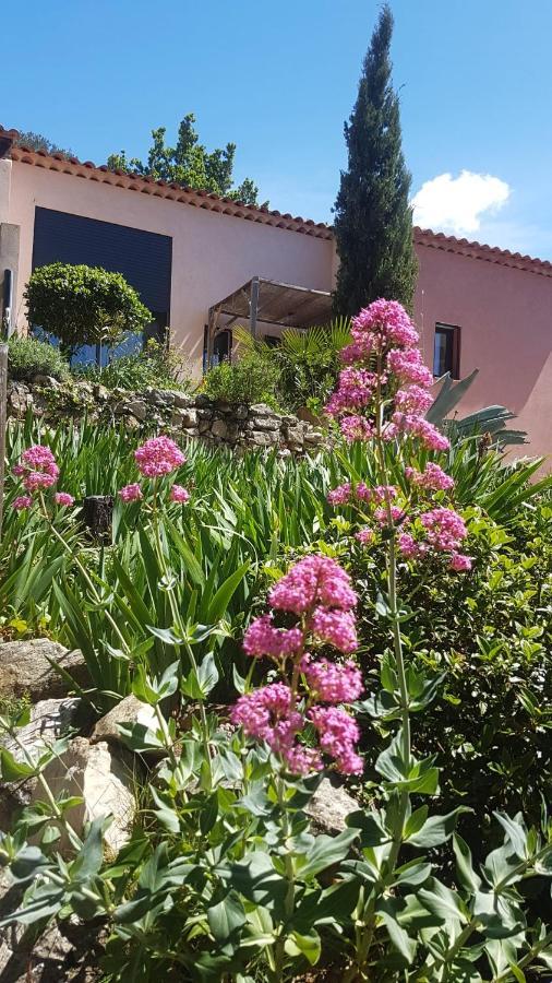 Bastide Cigaline Villa Le Beausset Kültér fotó