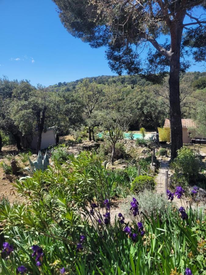 Bastide Cigaline Villa Le Beausset Kültér fotó