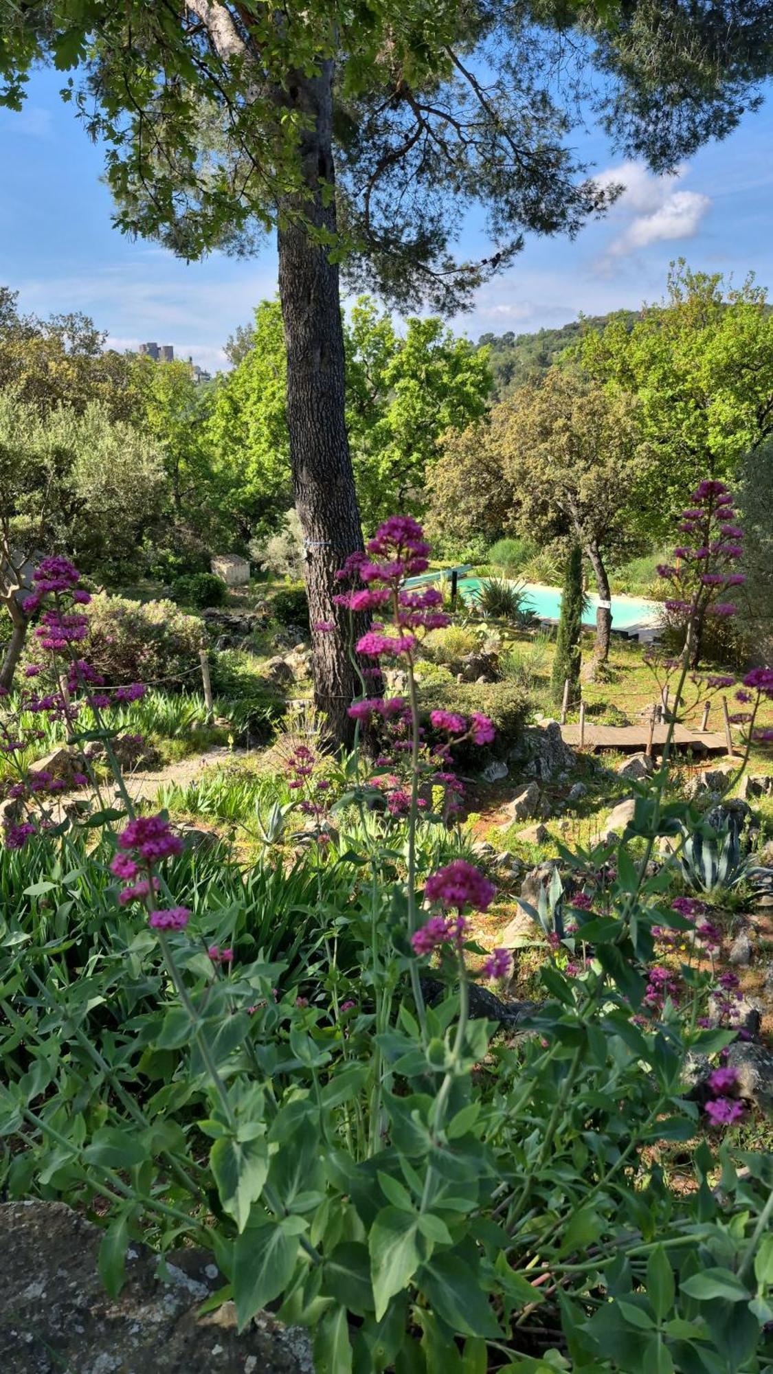 Bastide Cigaline Villa Le Beausset Kültér fotó
